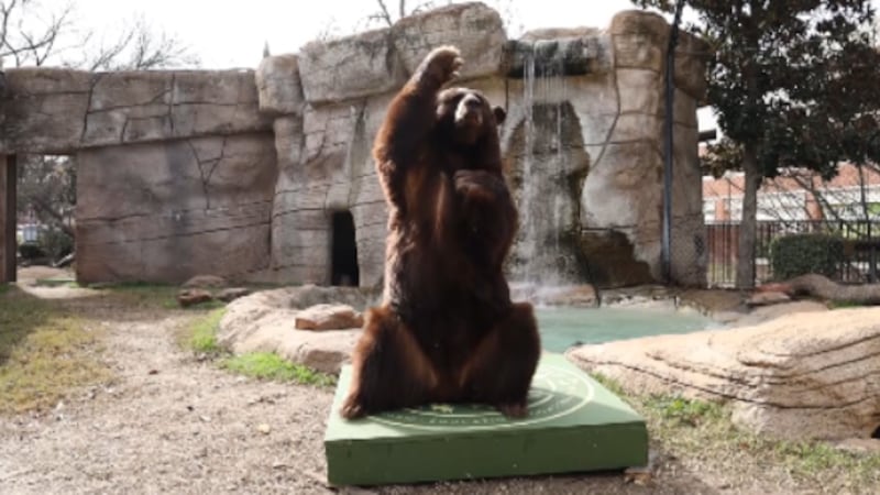 We The People: This Day in History, December 16