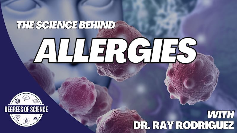We are talking with an allergy doctor about the science behind allergies, and what you can do...
