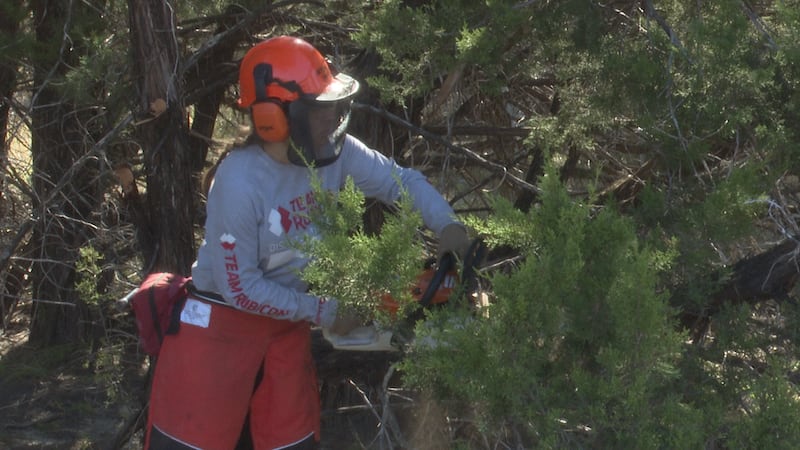 Veteran with True Rubicon cuts Juniper at Dana Peak Park