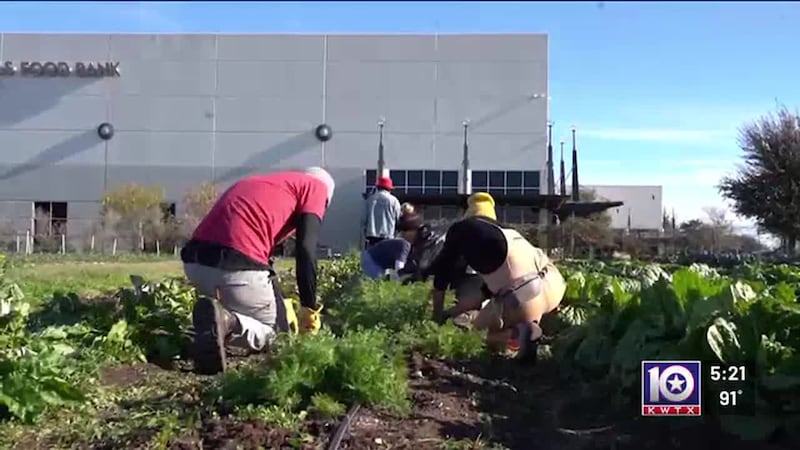 Central Texas Food Bank