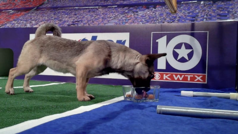 Presented by Rabroker Air Conditioning and Heating - Central Texas