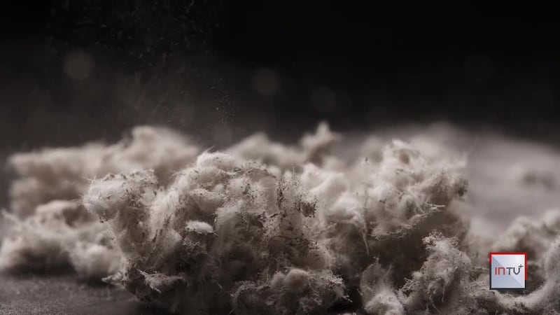 Removing Asbestos: Latest changes, potential impacts of phased ban for an industry still using it