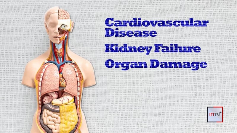 'I Want to Be Healthy': Economic, cultural barriers lead to disparities in Type 2 diabetes rate