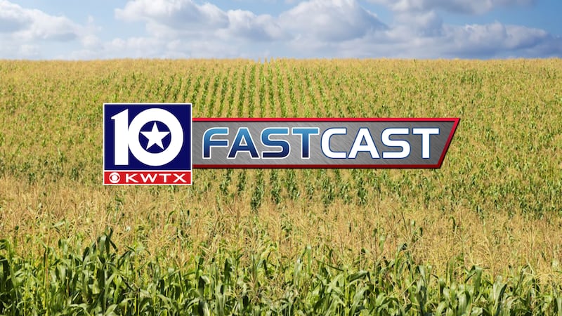 fastcast corn field sunny day hot weather