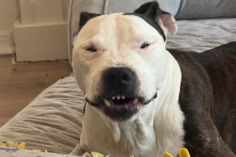 Cyrus at his new home