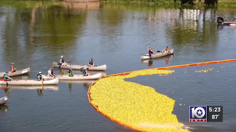 Great Waco Duck Race