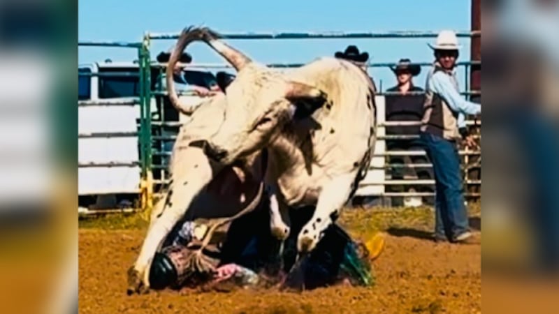 14-year-old bull rider from Central Texas back to competing after accident