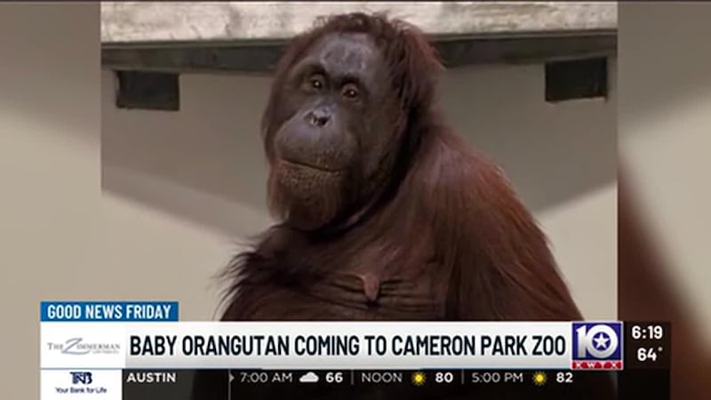 Cameron Park Zoo in Waco
