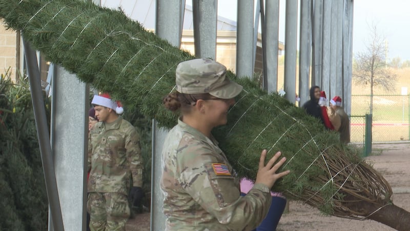 Hundreds of soldiers get free Christmas trees at Trees For Troops event on Fort Hood