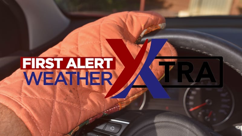 Hot Enough To Bake Cookies In A Car!