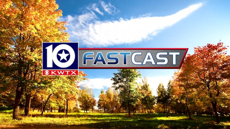 fastcast fall trees forest foliage autumn yellow orange turning leaves tree