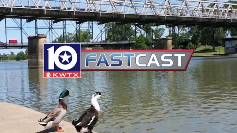 fastcast bridge ducks river Brazos waddle duck suspension downtown Waco