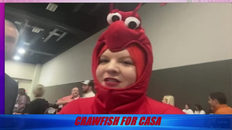 The Breakdown: Friday March 31, 2023 (Tornado outbreak, Crawfish for CASA, school safety...