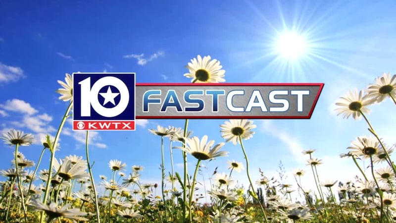 fastcast sunshine flowers spring